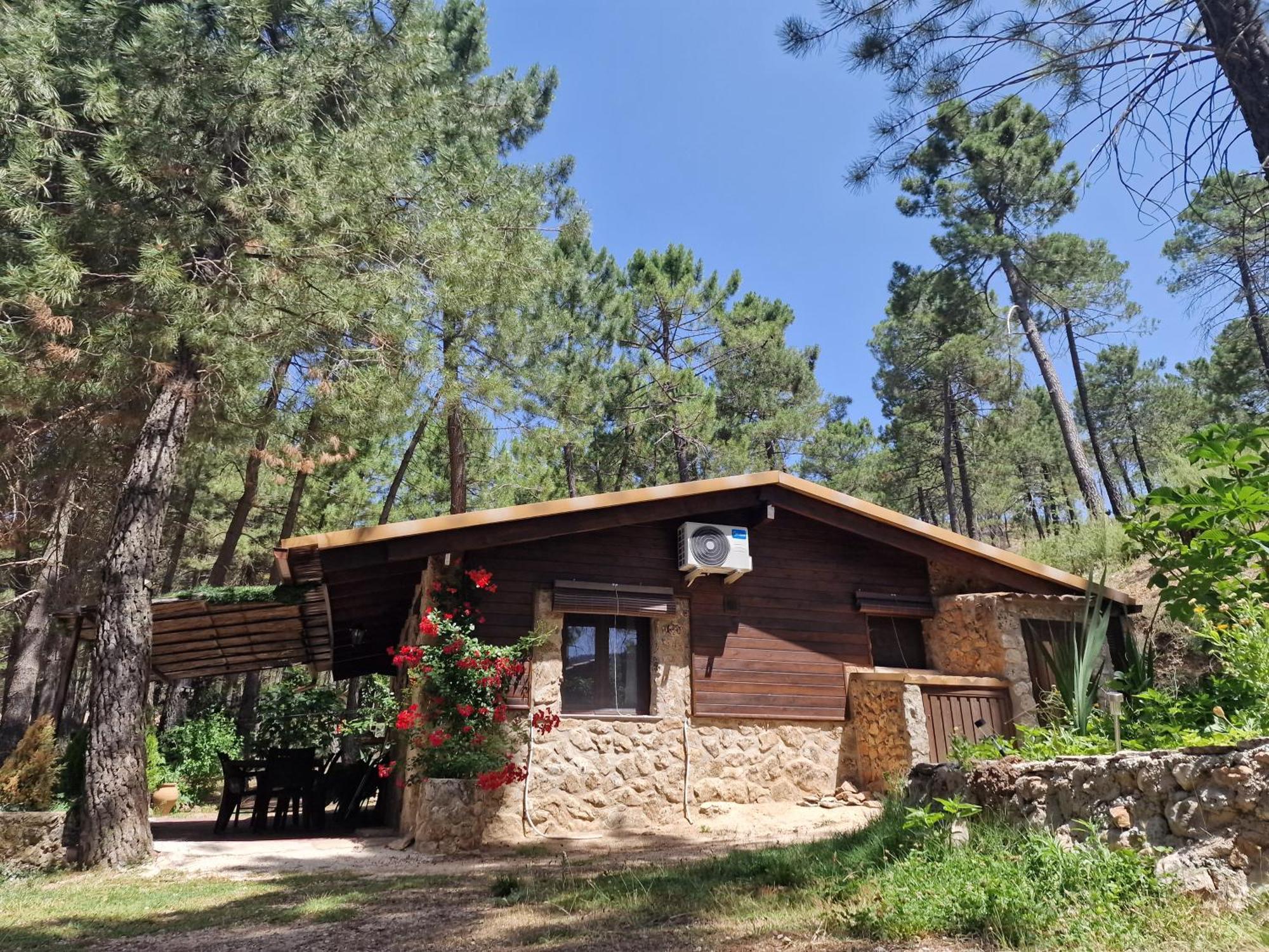 Cabana En Plena Naturaleza Parque Natural Rio Mundo Riopar Exterior photo